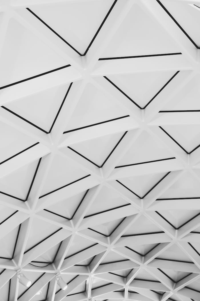 services-04 Explore the symmetry of this futuristic geometric ceiling in a striking black and white palette.